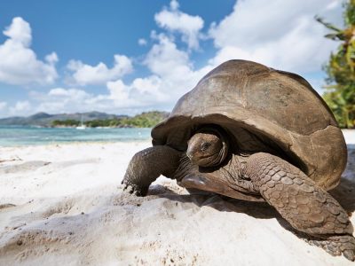 ecuador_galapagos_01